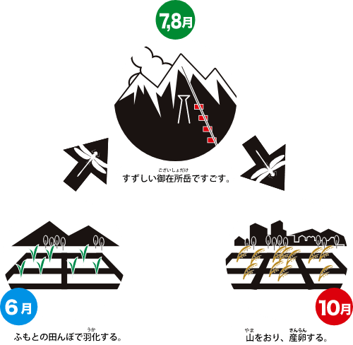 すすめ ロープウェイ めざせ 青空 年夏キャンペーンページ 御在所ロープウエイ